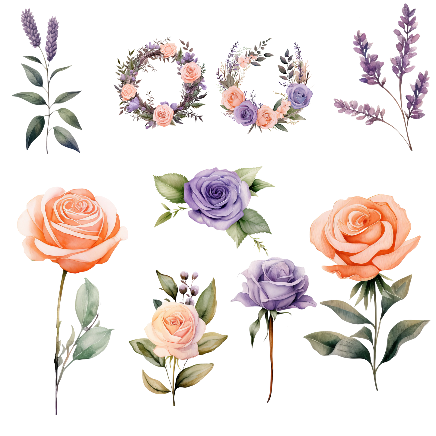 a bunch of flowers that are on a white background
