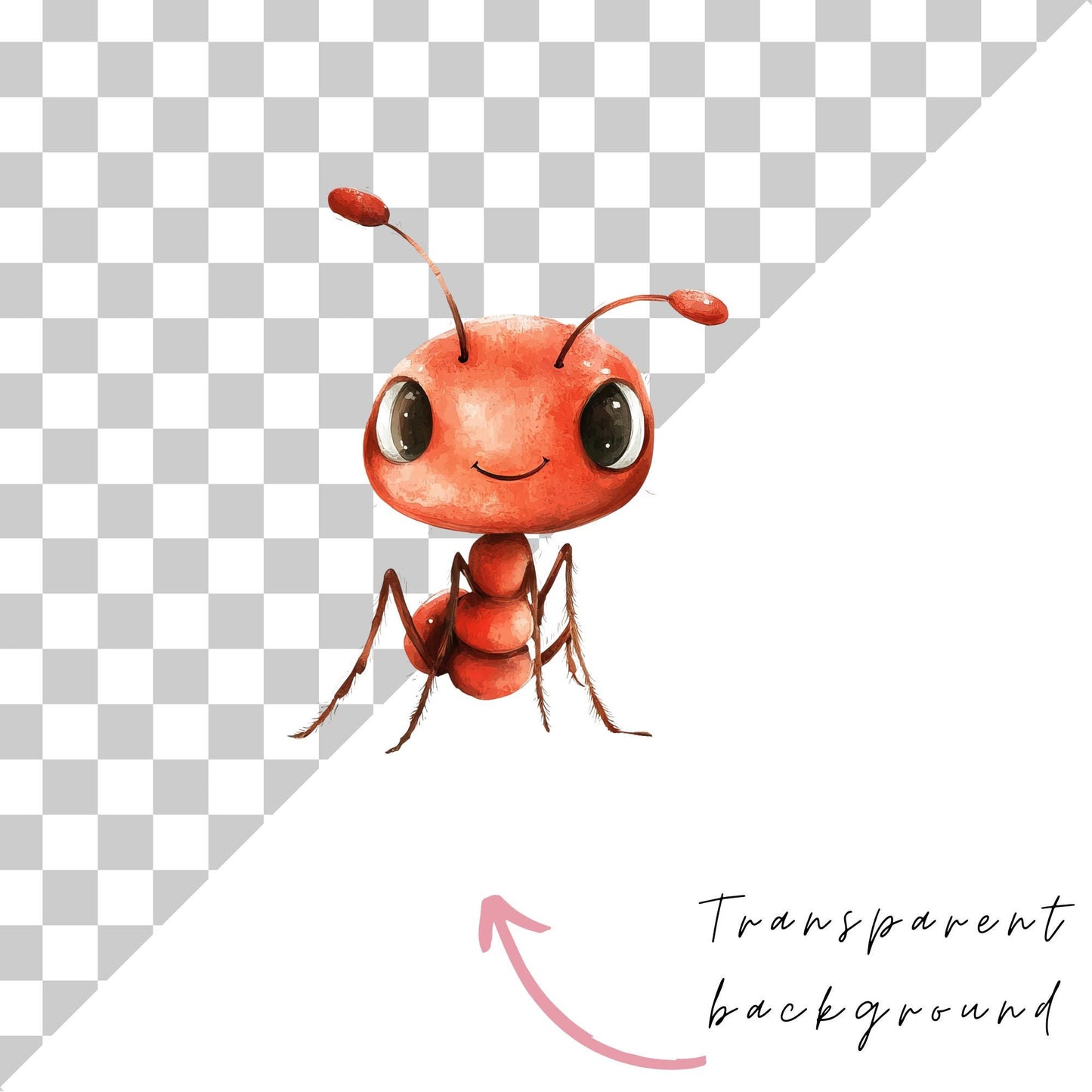 Imágenes prediseñadas de insectos lindos