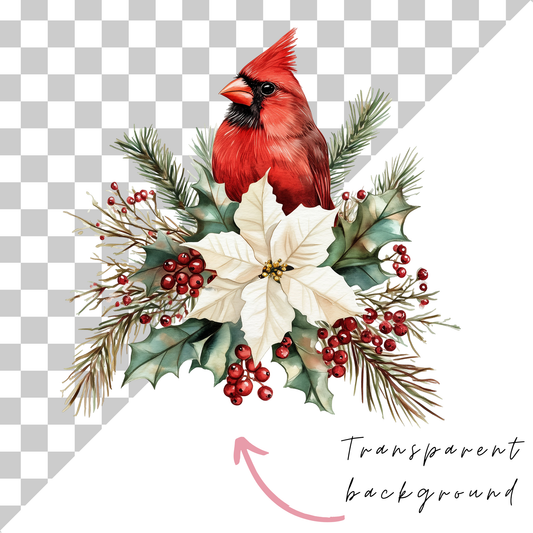 Christmas Cardinal Clipart PNG | Watercolor Red Bird