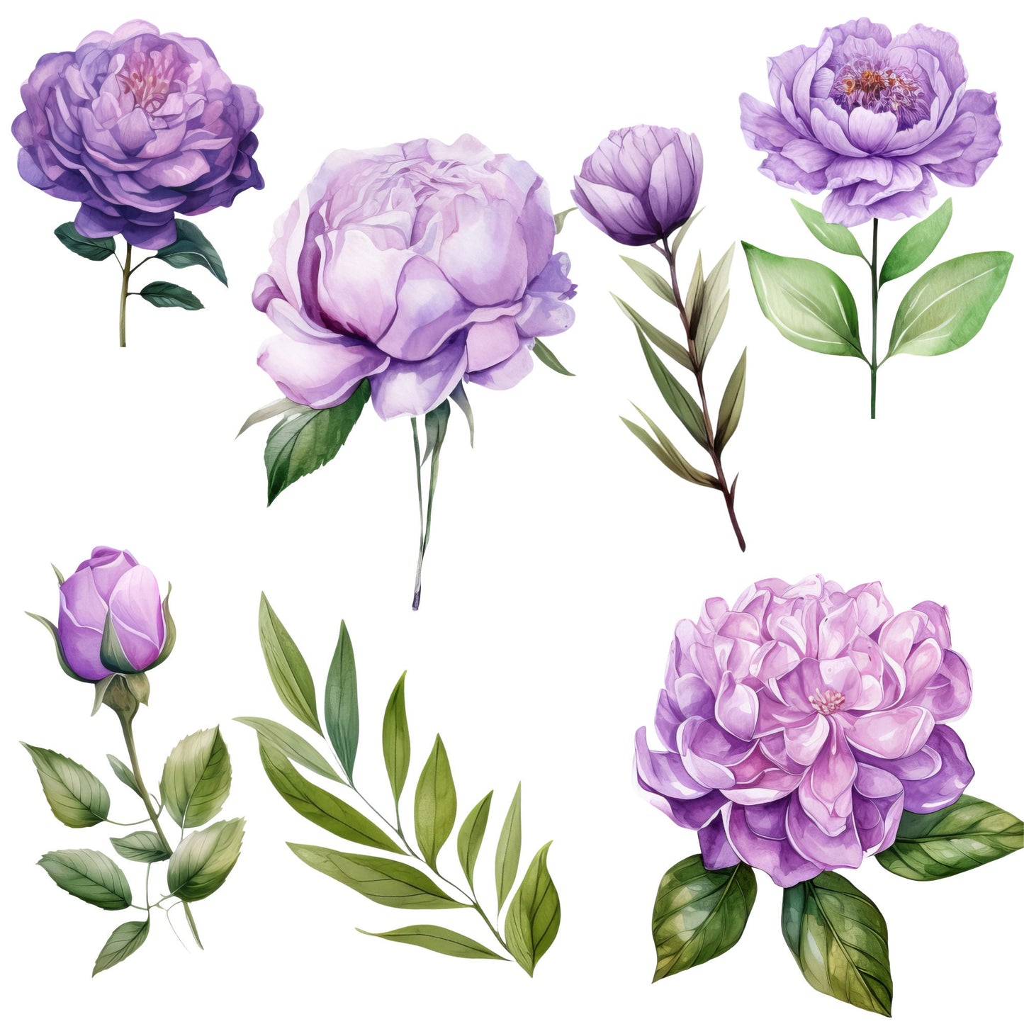 Lilac Floral clipart | Lilac Flower