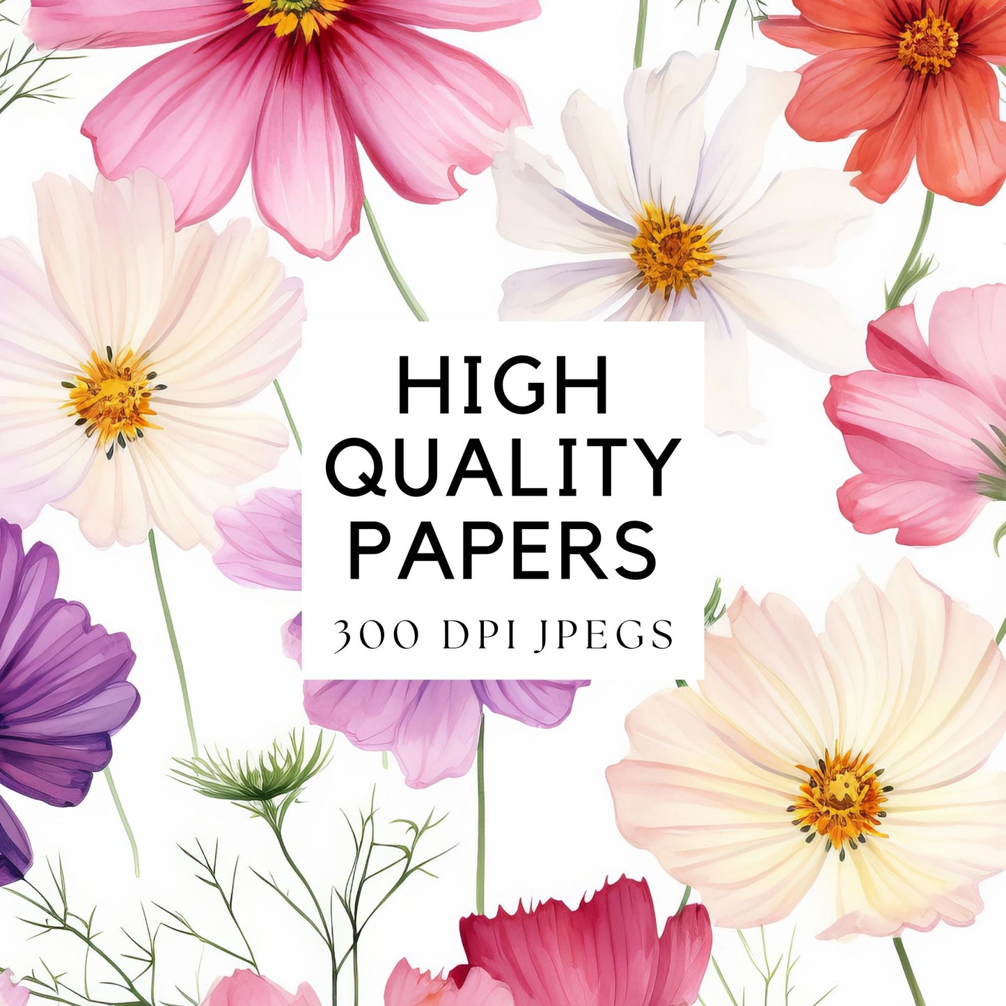 Watercolor Cosmos floral Digital papers