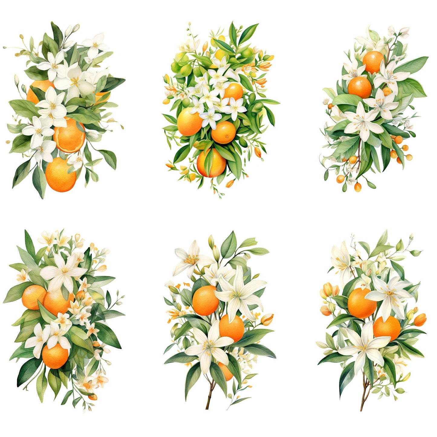 Orange Blossom Floral Clipart
