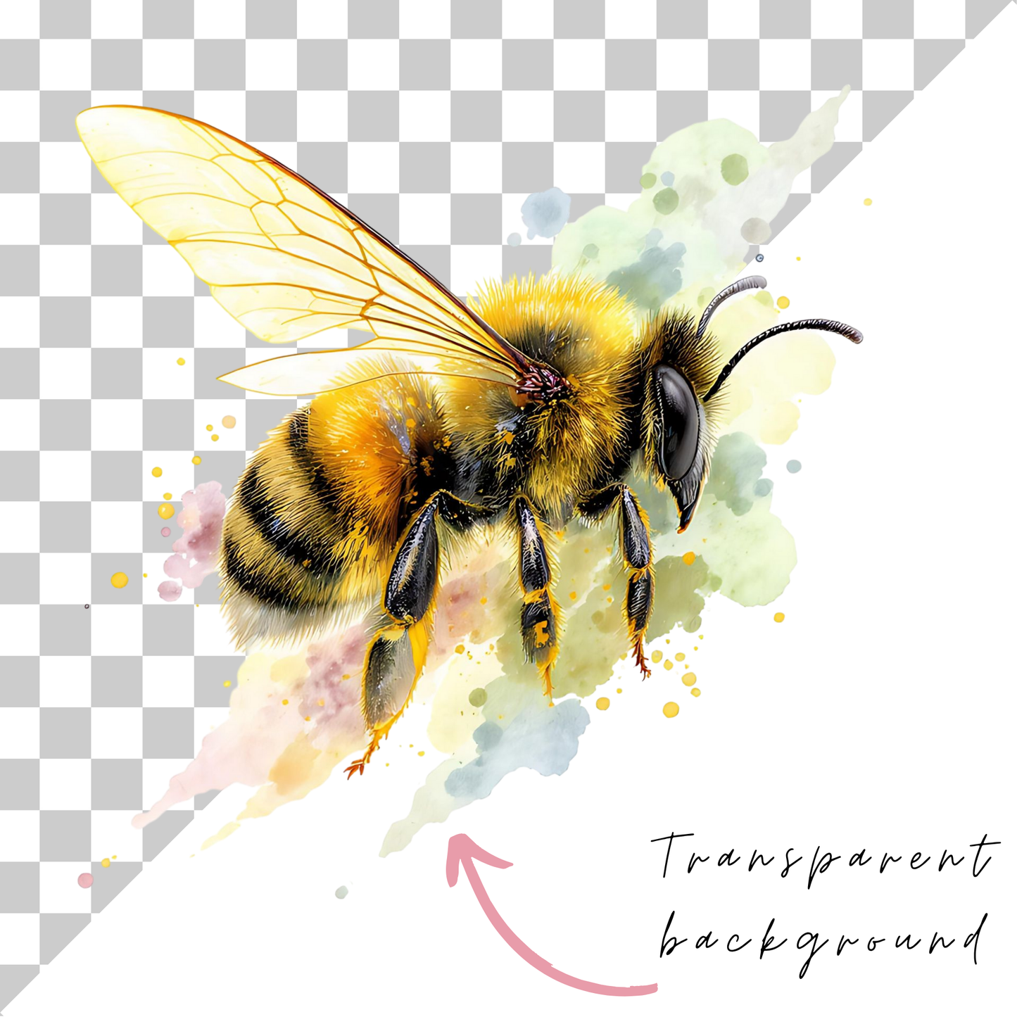 Bee Clipart Watercolor PNG Pack