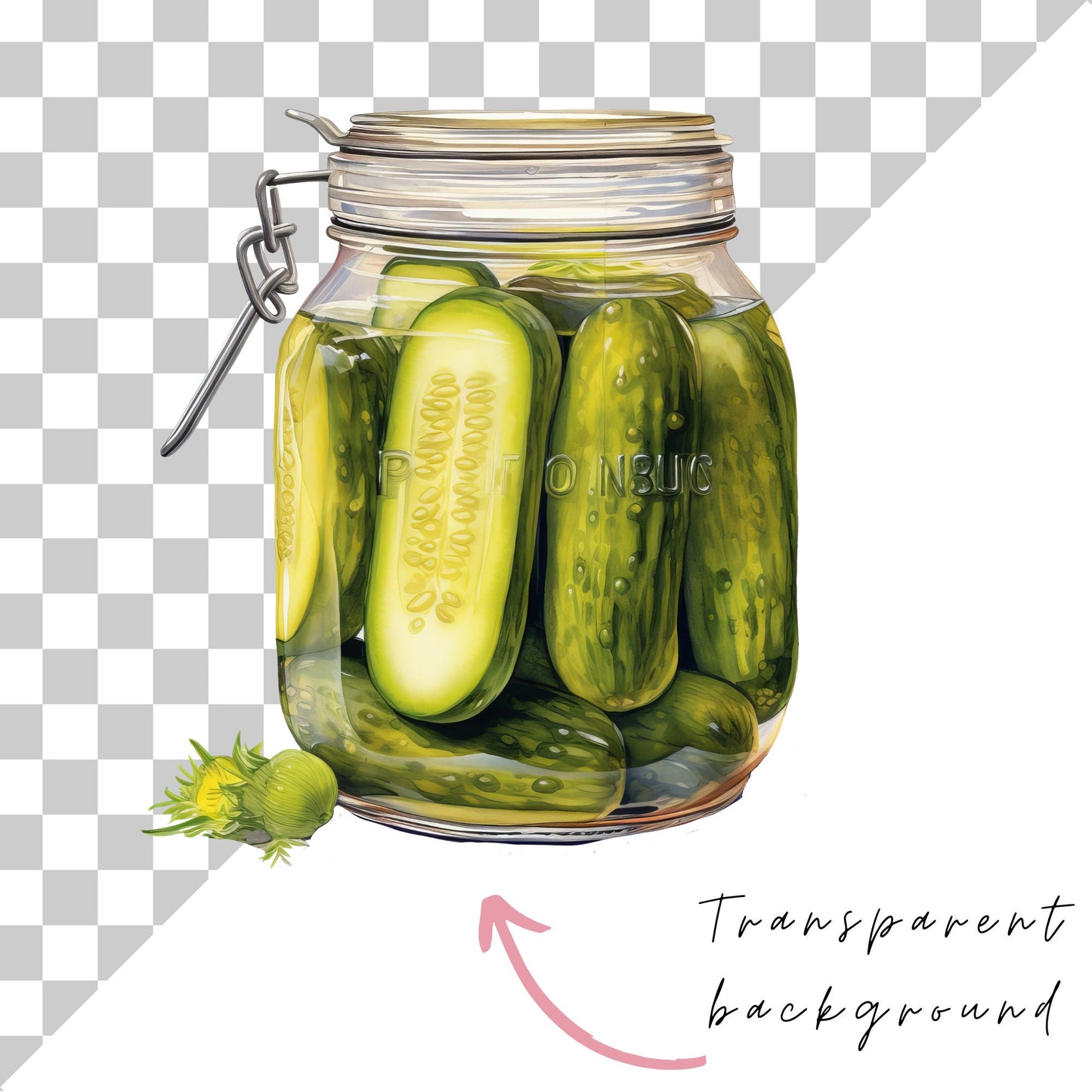 Watercolor Pickles Clipart