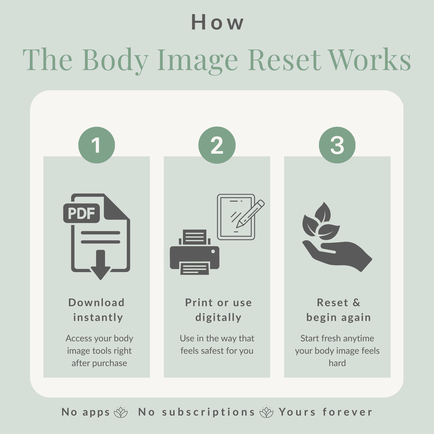 The Body Image Reset