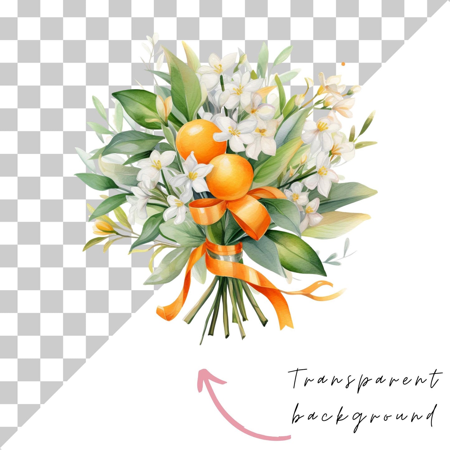 Orange Blossom Floral Clipart