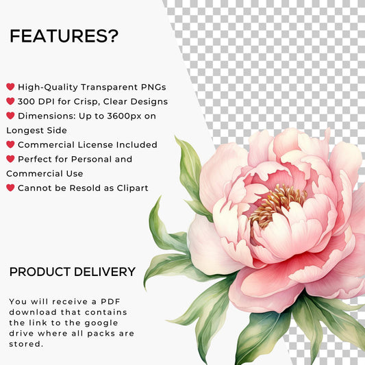 Spring Floral Clipart