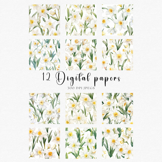 Papel digital con estampado sin costuras de narcisos blancos