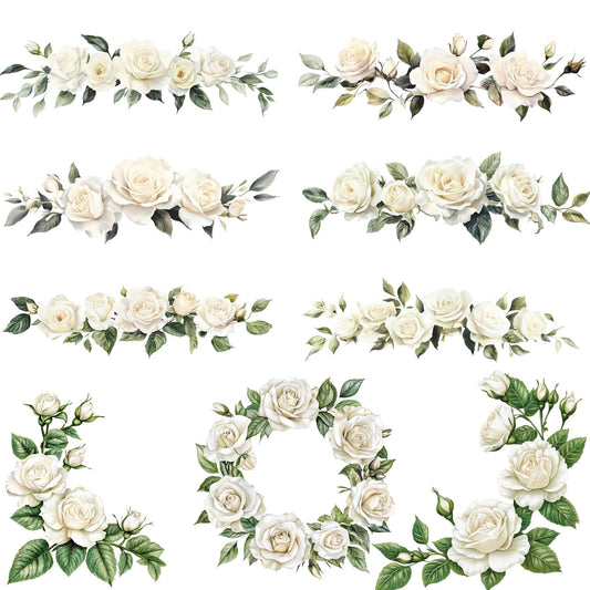 Clipart de rosas blancas marfil en acuarela