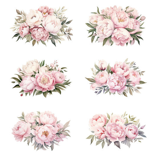 Clipart floral de peonía rosa suave en acuarela