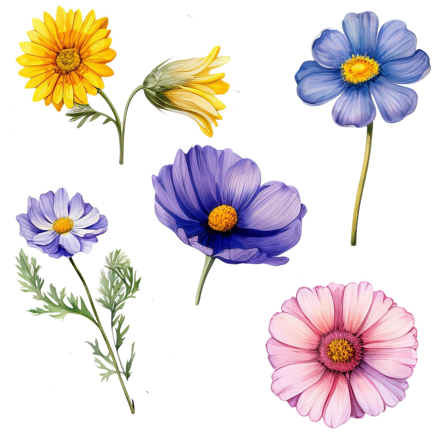 Wildflower Meadow Floral Clipart