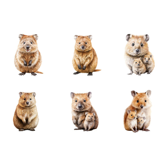 Realistic Watercolor Quokka Clipart