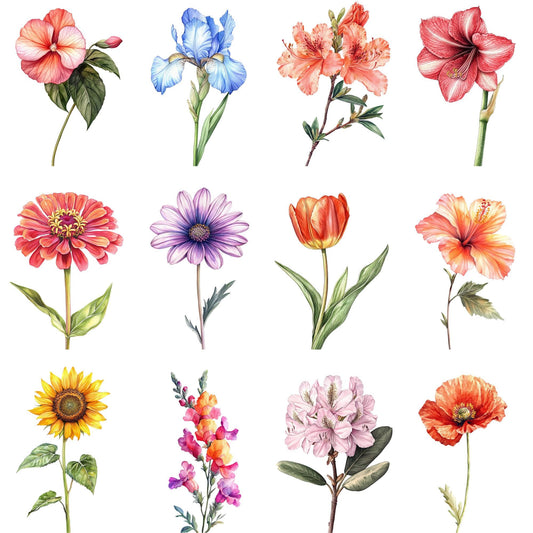 Clipart de elementos florales de acuarela