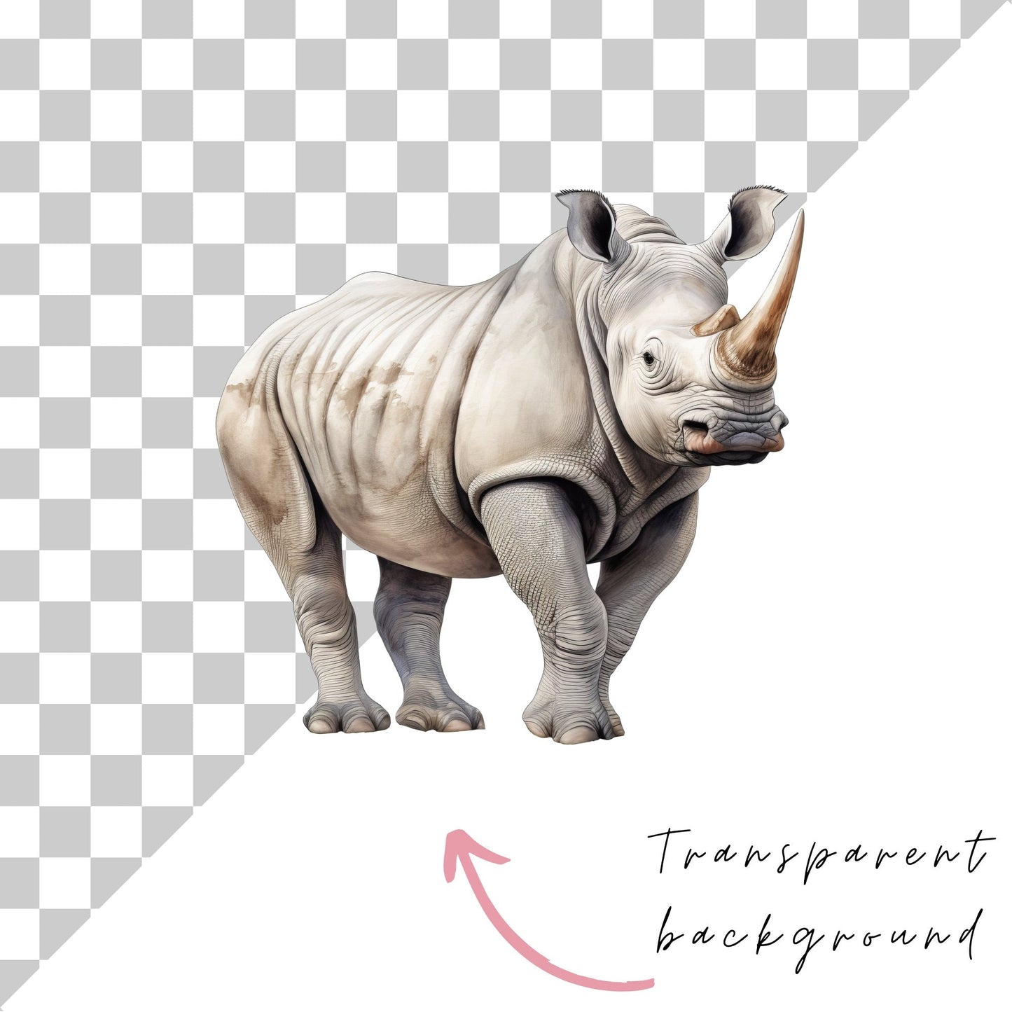 Safari animal clipart