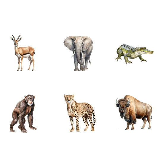 Safari animal clipart