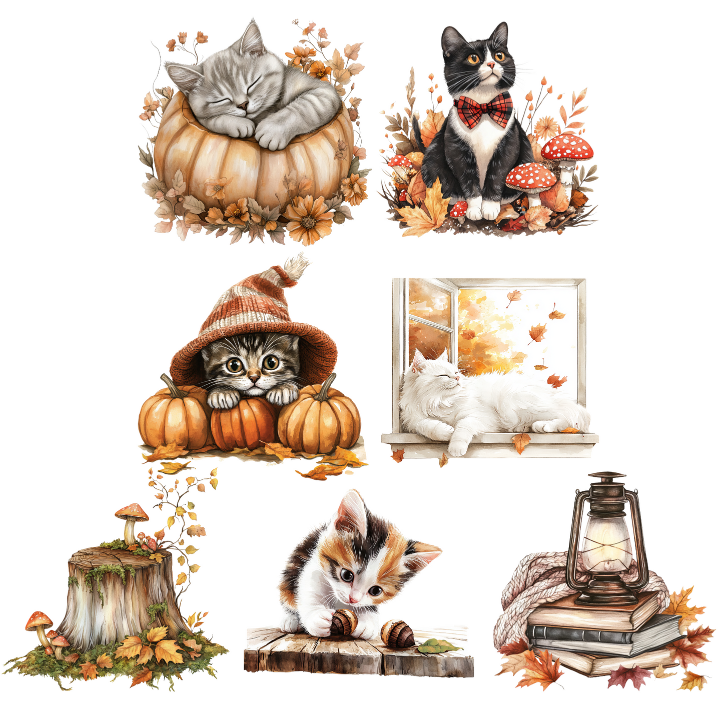 a collection of illustrations featuring cats in various autumn-themed settings, including a sleeping cat in a pumpkin, a cat wearing a hat, a cat sitting on a window sill, a cat with a lantern, a cat with a lantern, and a cat with a lantern.