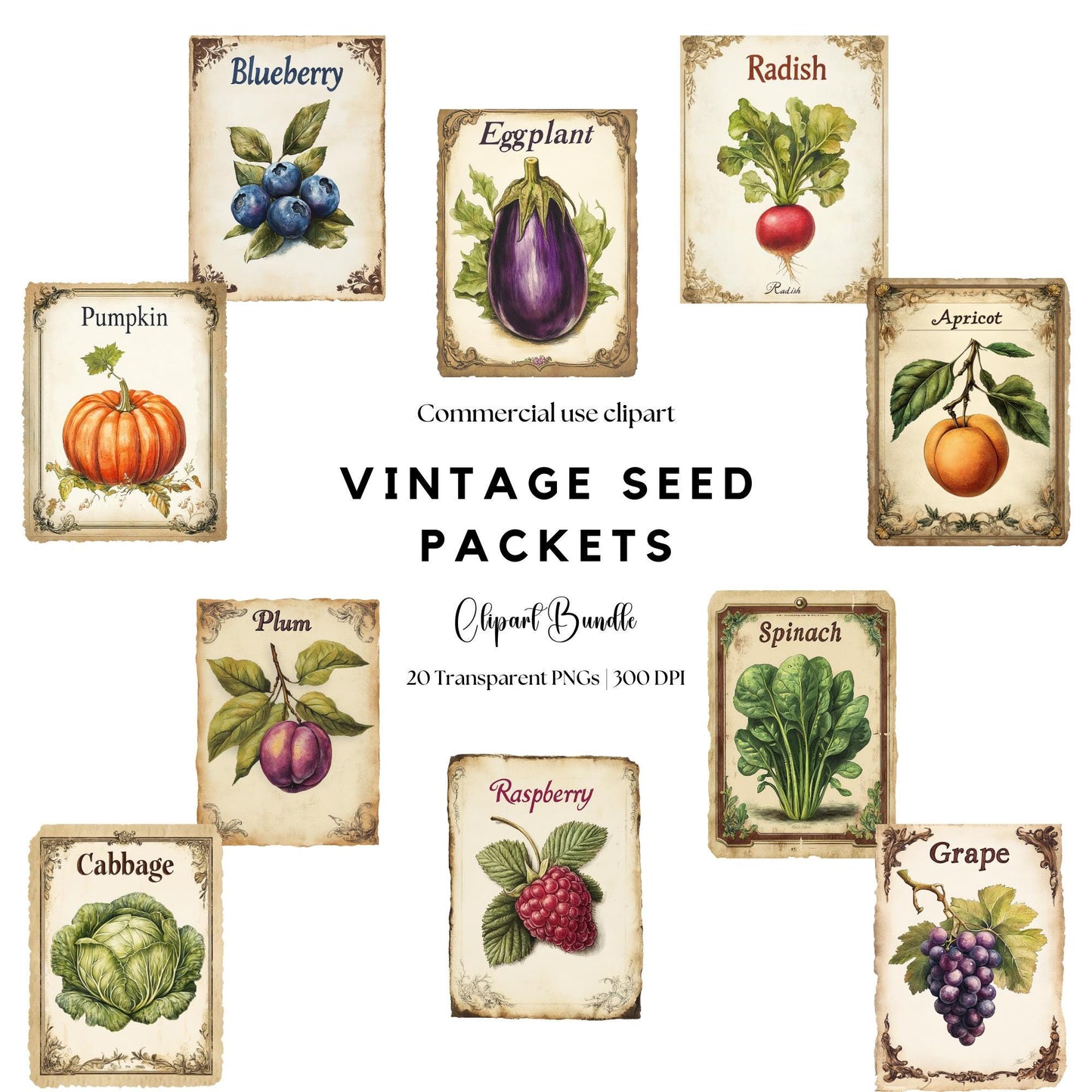 Vintage Seed Packet Clipart