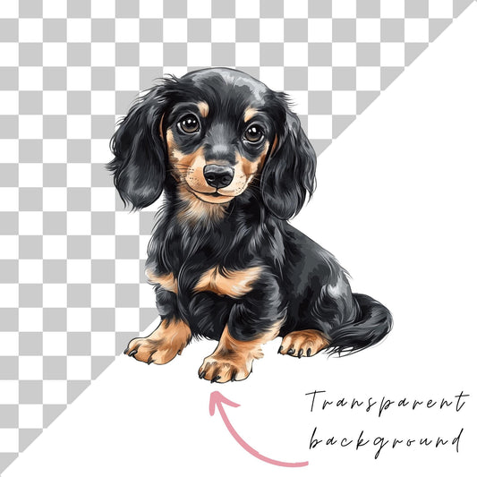 Long Hair Dachshund Clipart