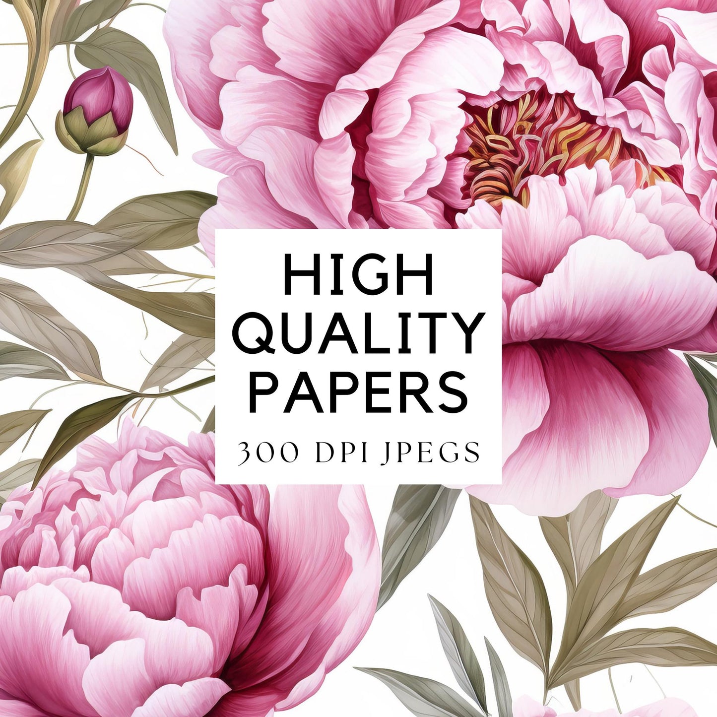 Watercolor Dusty Pink Peony Digital Papers