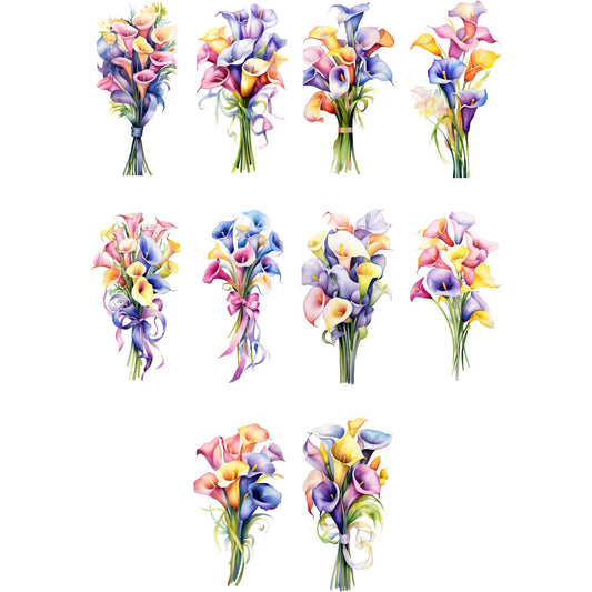 Clipart de lirio de cala colorido en acuarela