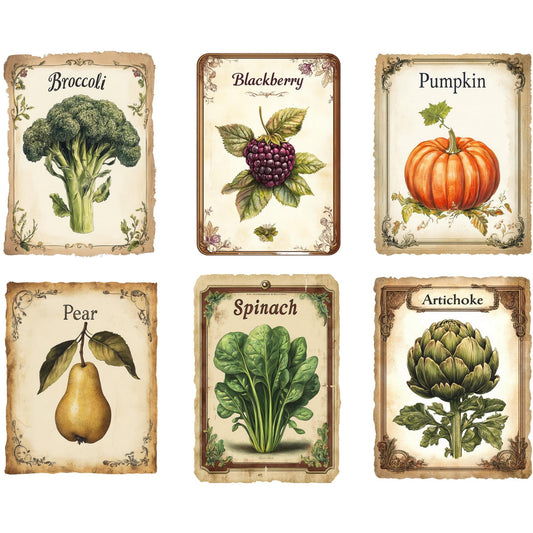 Vintage Seed Packet Clipart