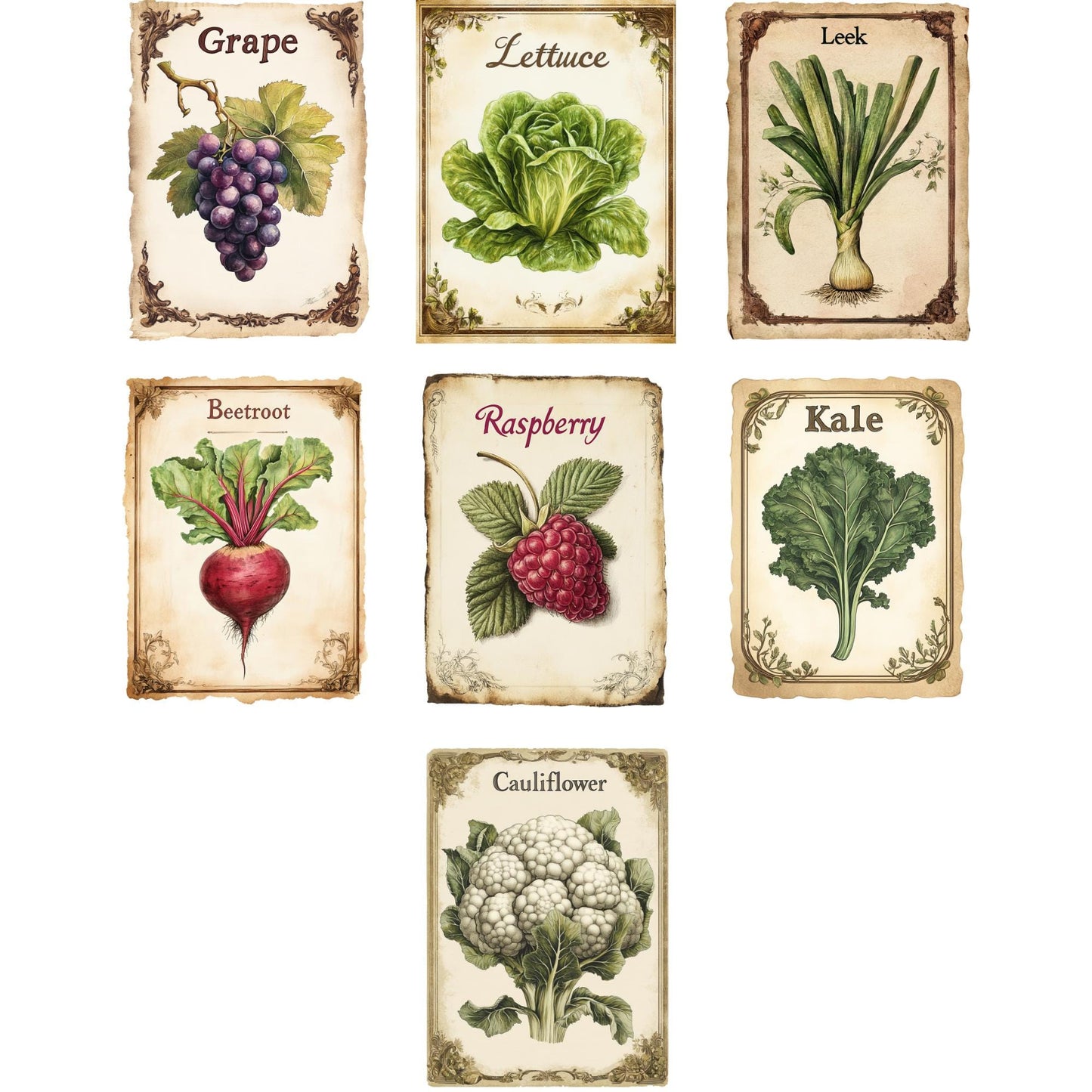 Vintage Seed Packet Clipart
