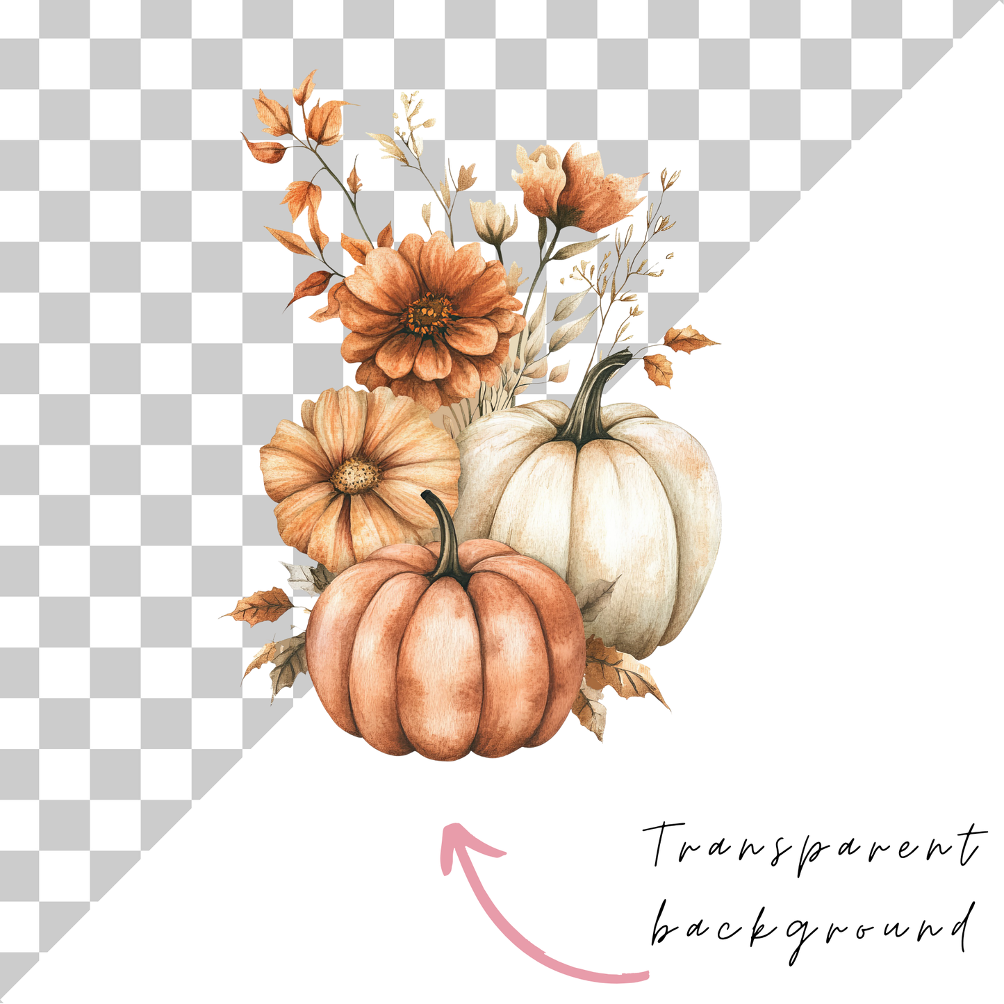 a watercolor painting of pumpkins and flowers on a checkered background