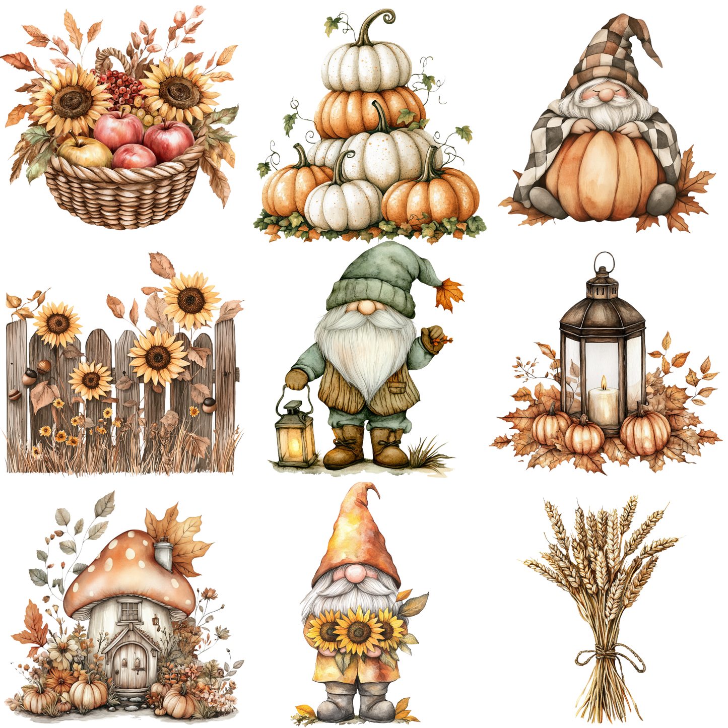 a bunch of pictures of pumpkins and gnomes