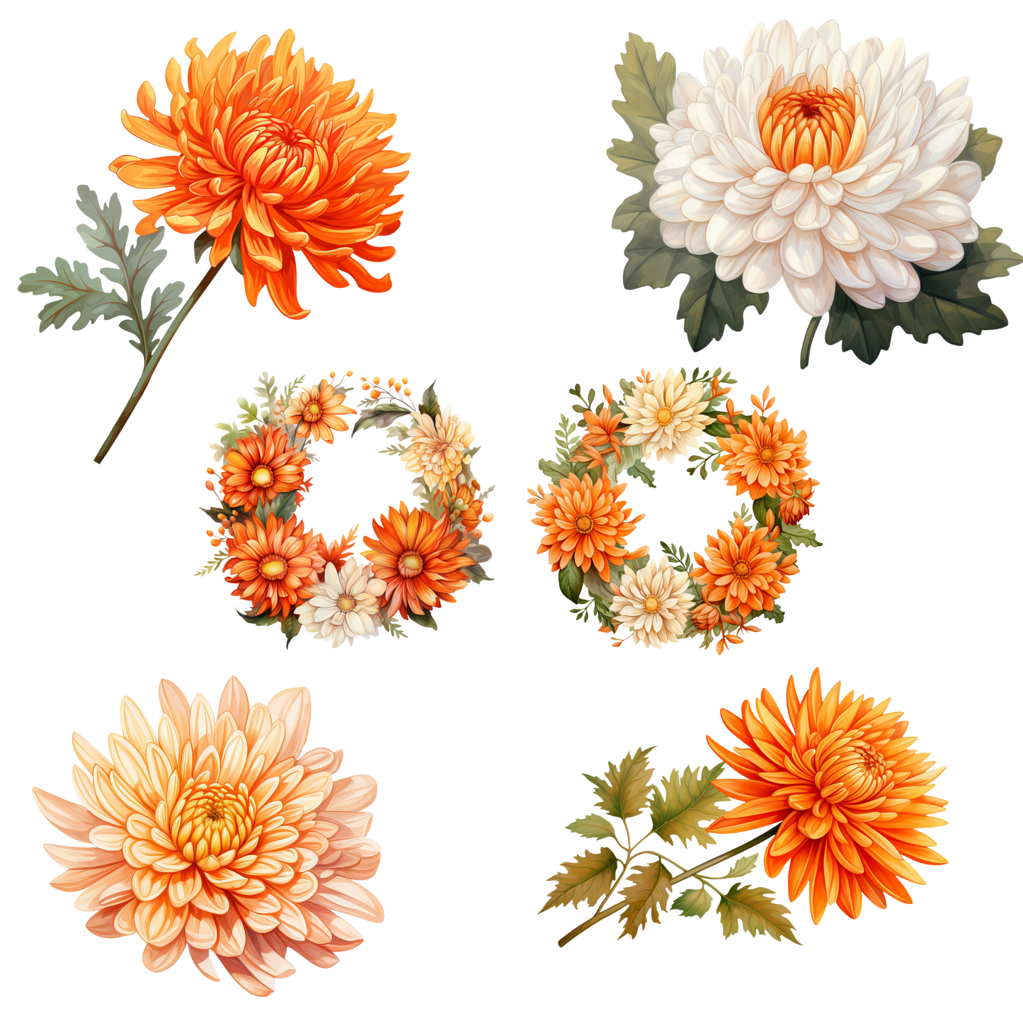 a bunch of flowers that are on a white background