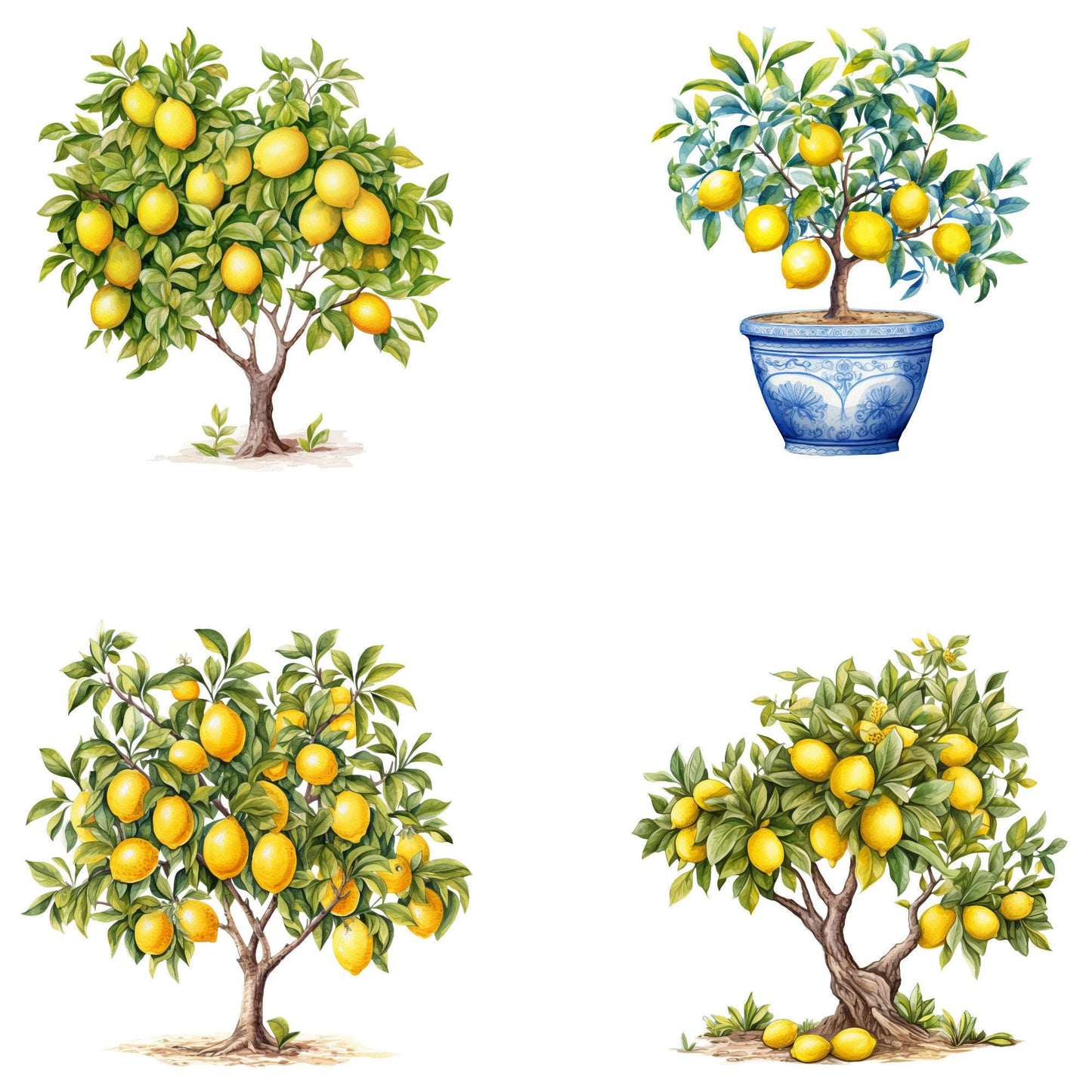 Watercolor Mediterranean Lemon Clipart
