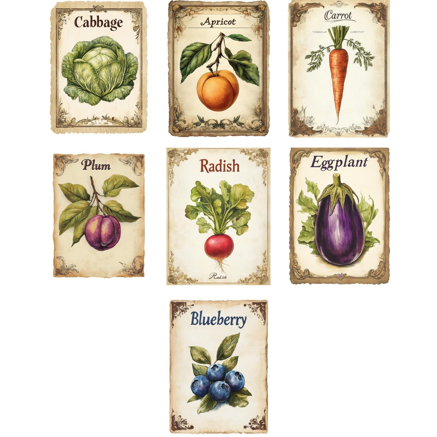 Vintage Seed Packet Clipart
