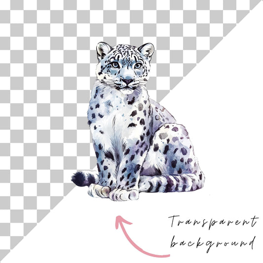 Snow Leopard Clipart
