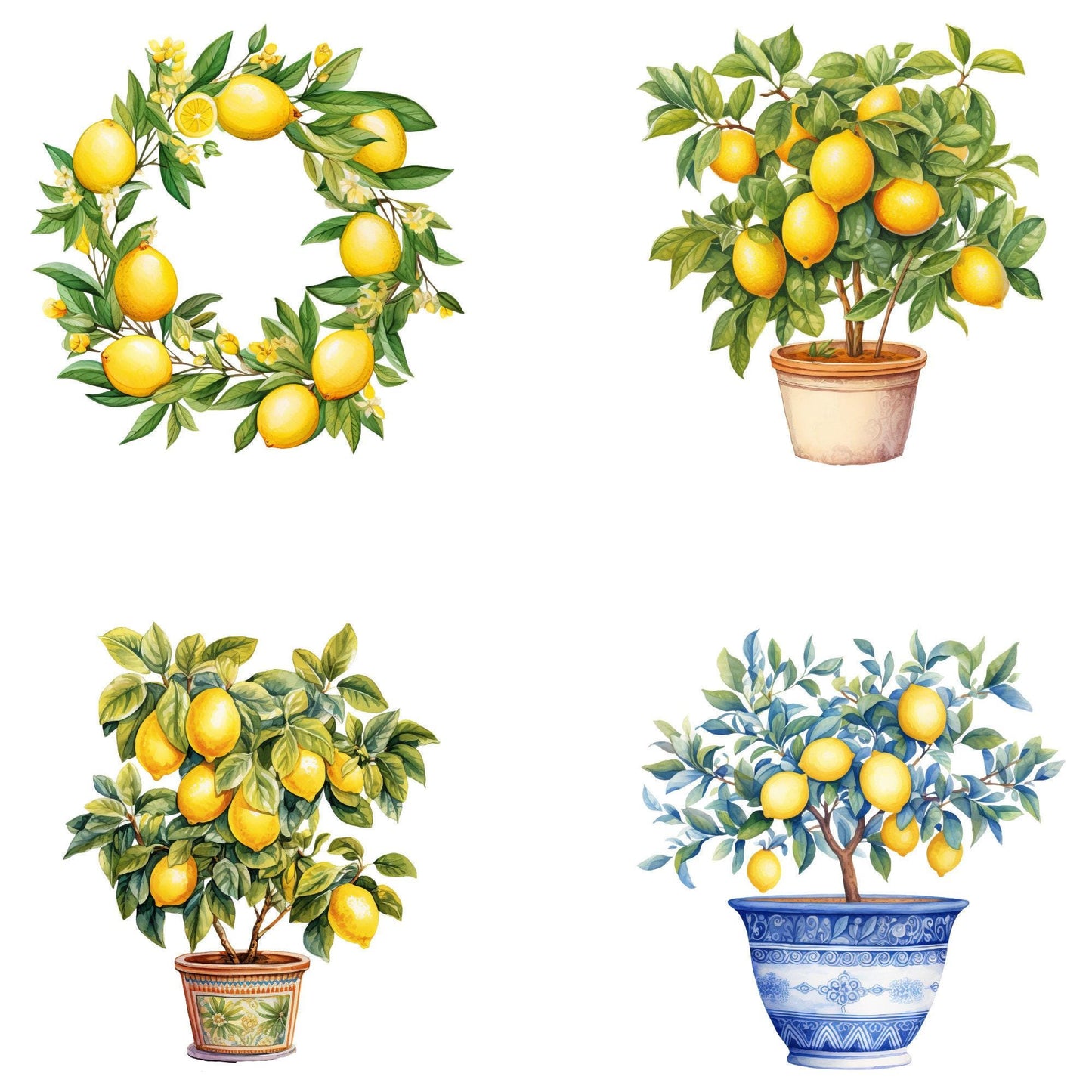 Watercolor Mediterranean Lemon Clipart