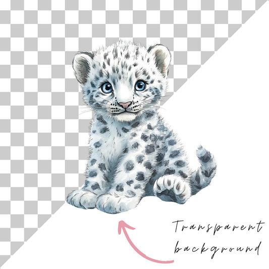 Baby Snow Leopard Clipart