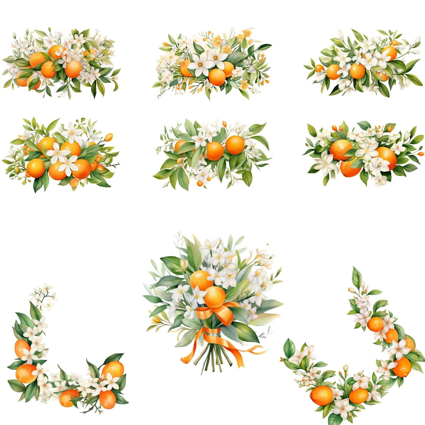 Orange Blossom Floral Clipart