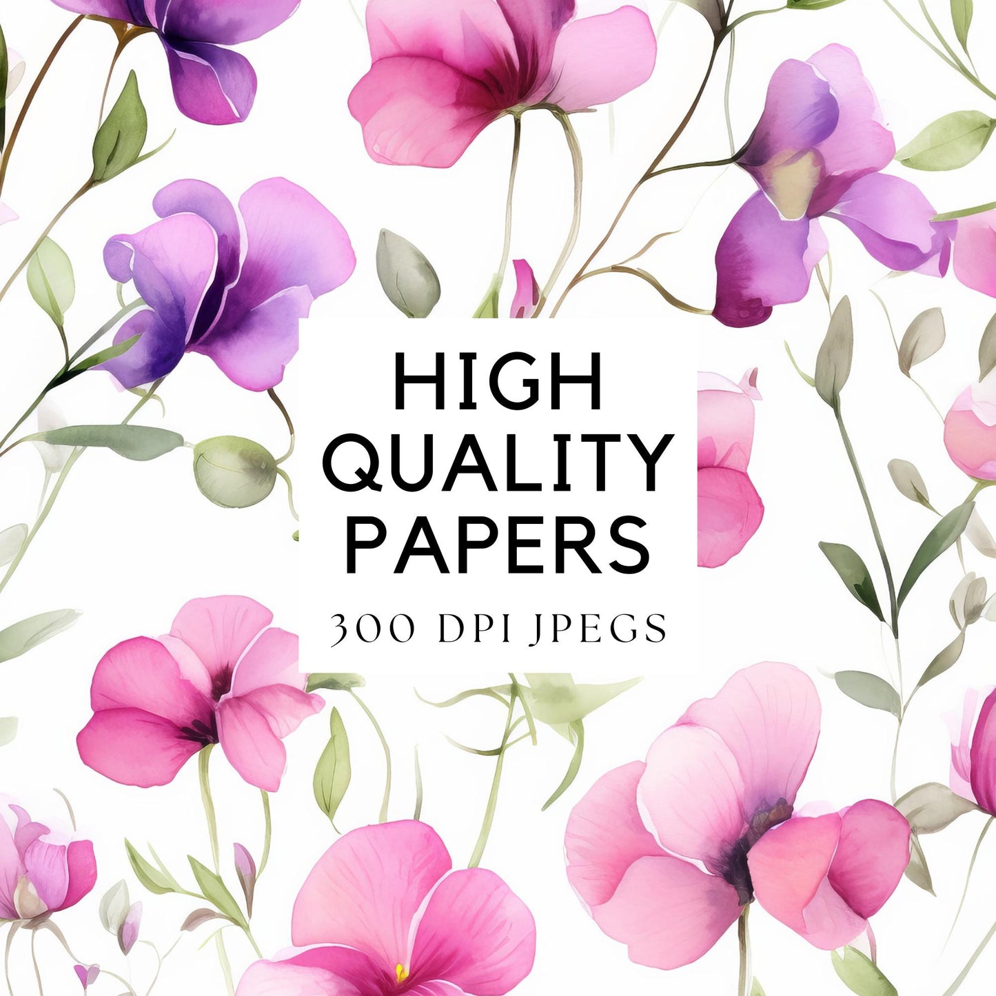 Soft Pink and Purple Sweet Pea Digital Paper Pack