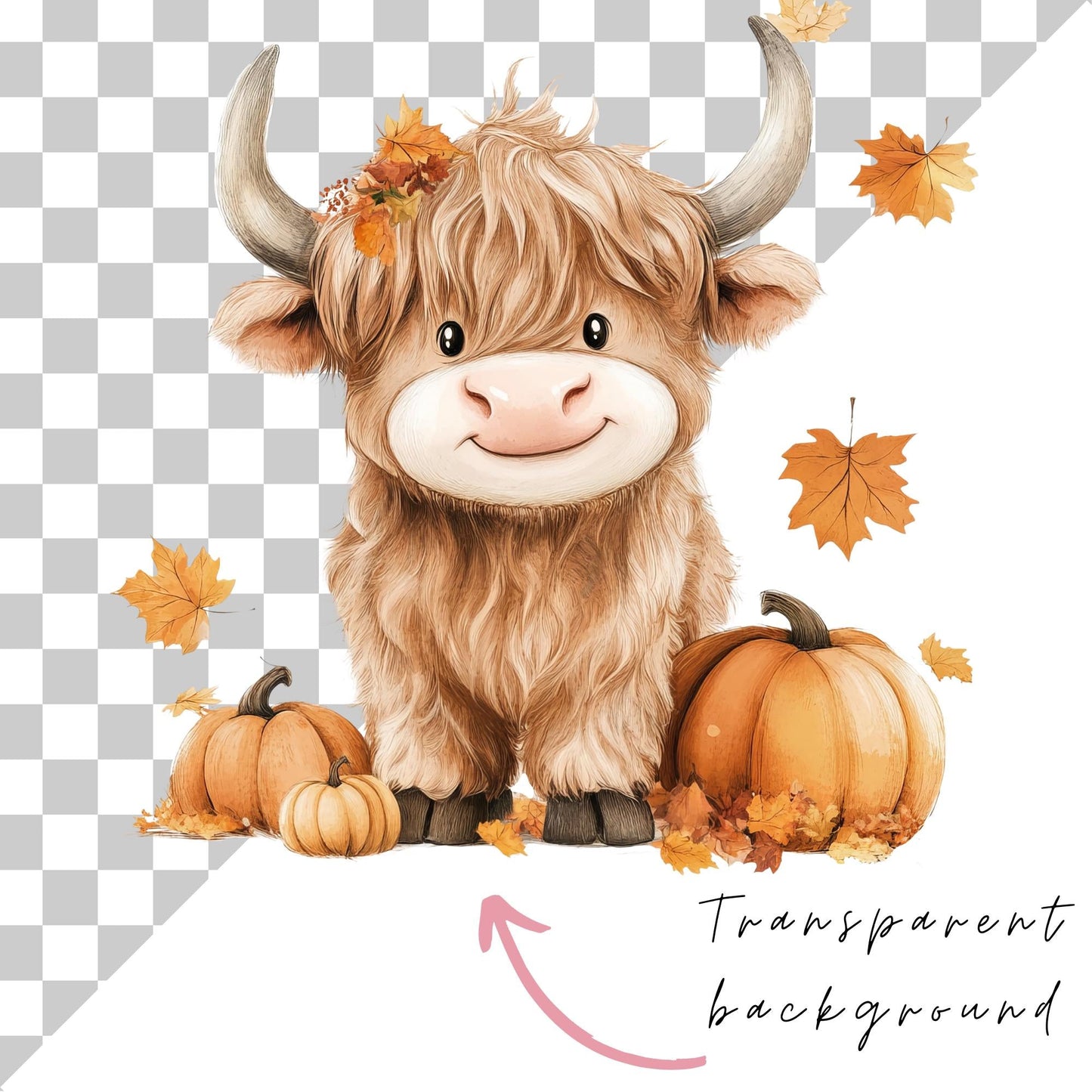 Fall Highland Cow Clipart