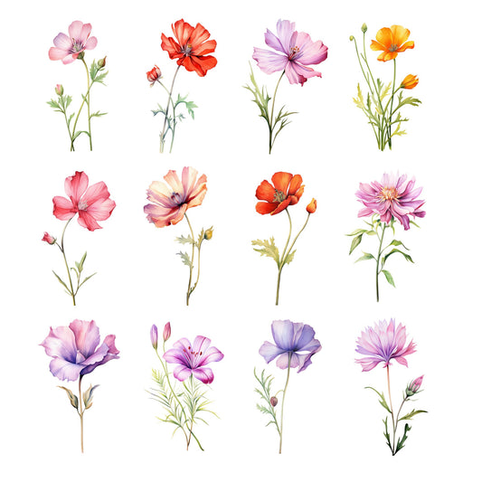 Clipart de flores silvestres de acuarela