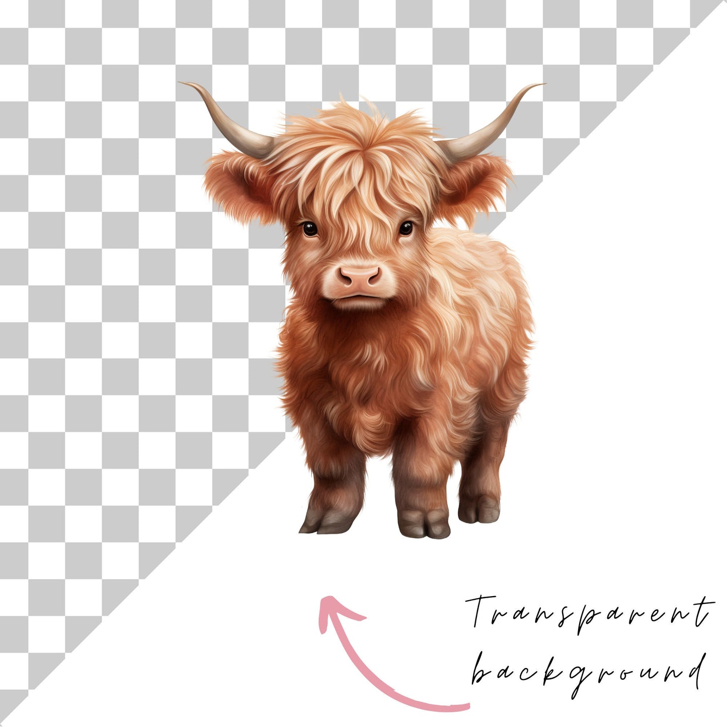 Cute Highland Cow Clipart