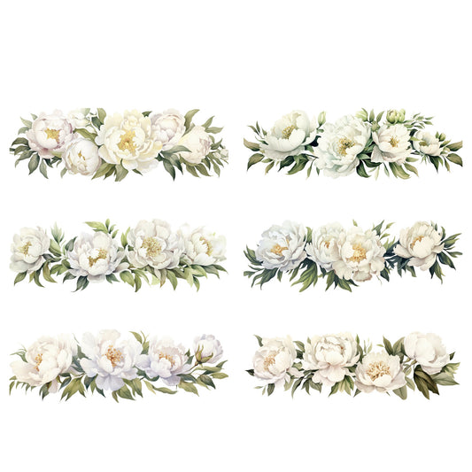 Clipart de peonía blanca en acuarela