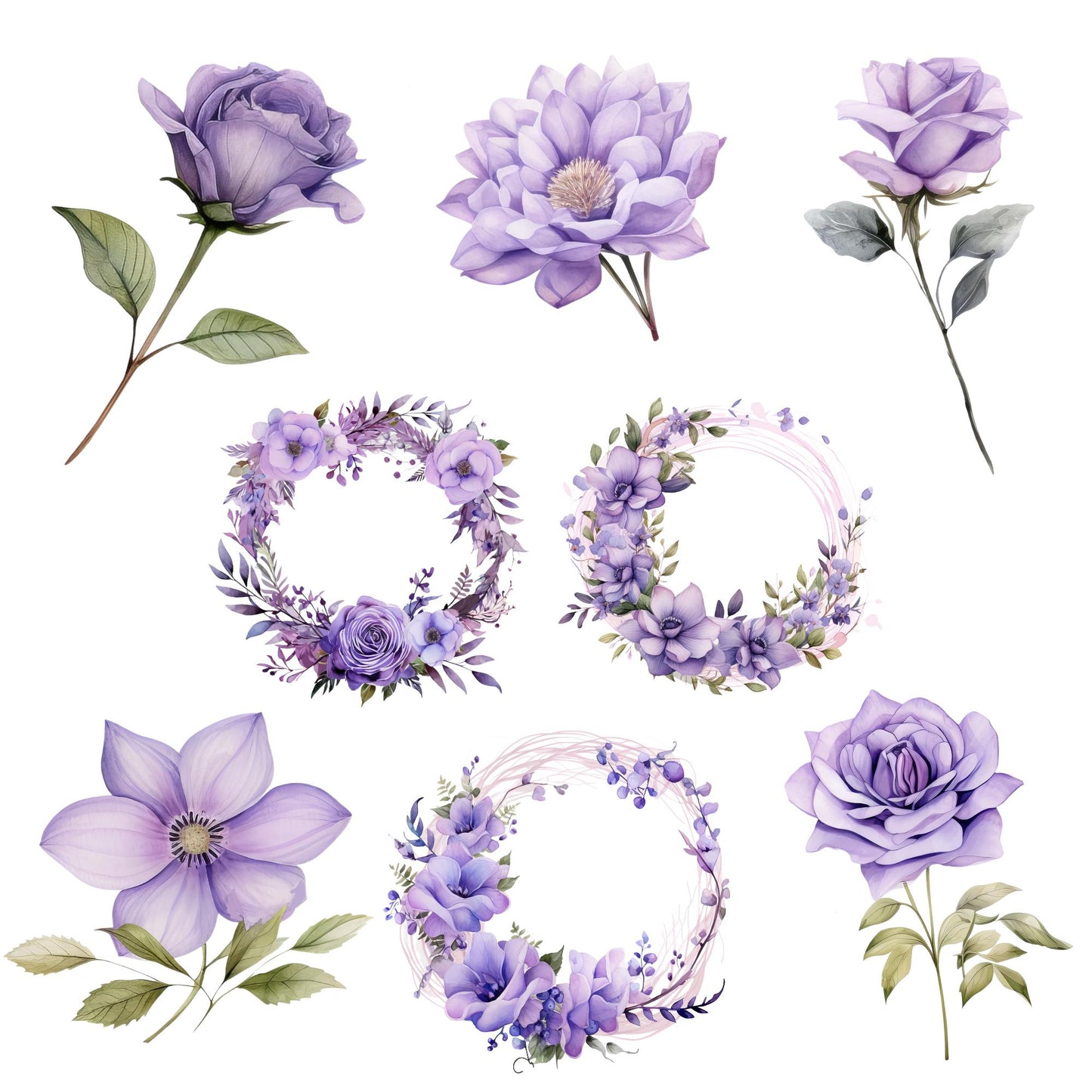 a bunch of flowers that are on a white background