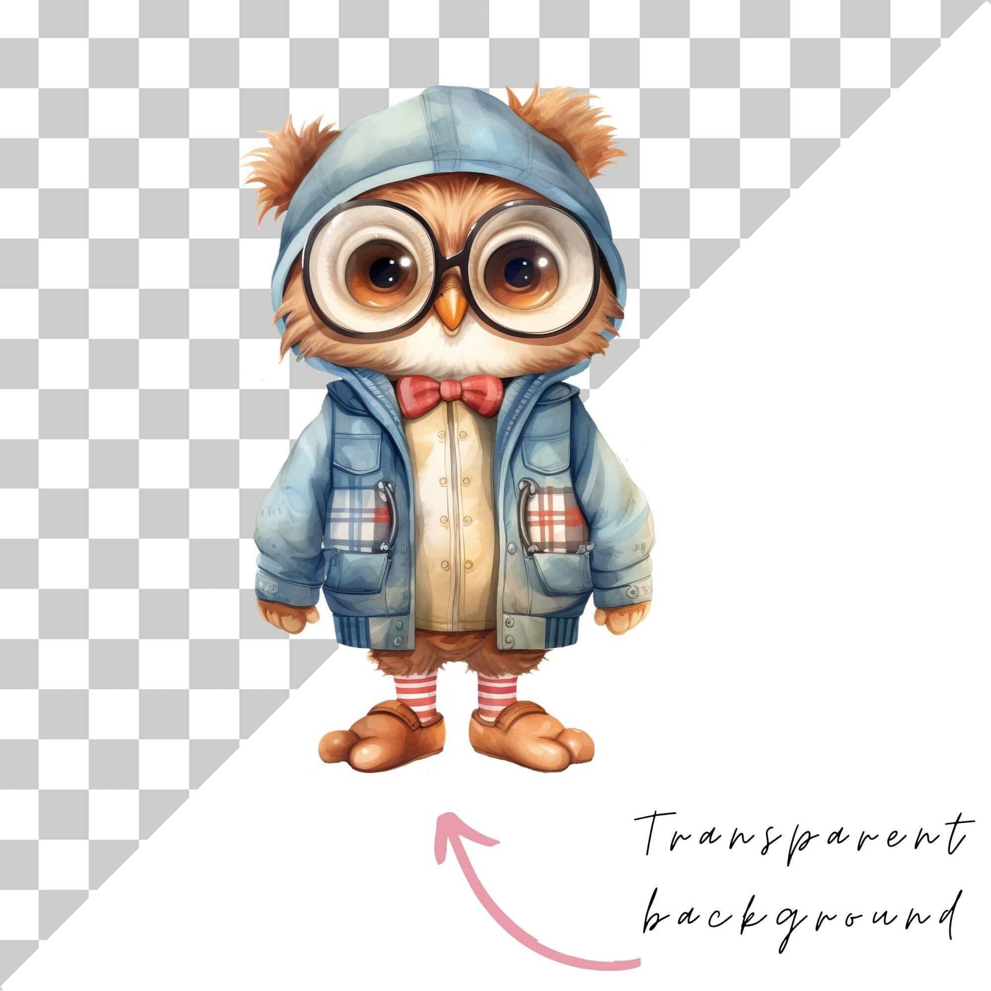 Spring Woodland Clipart