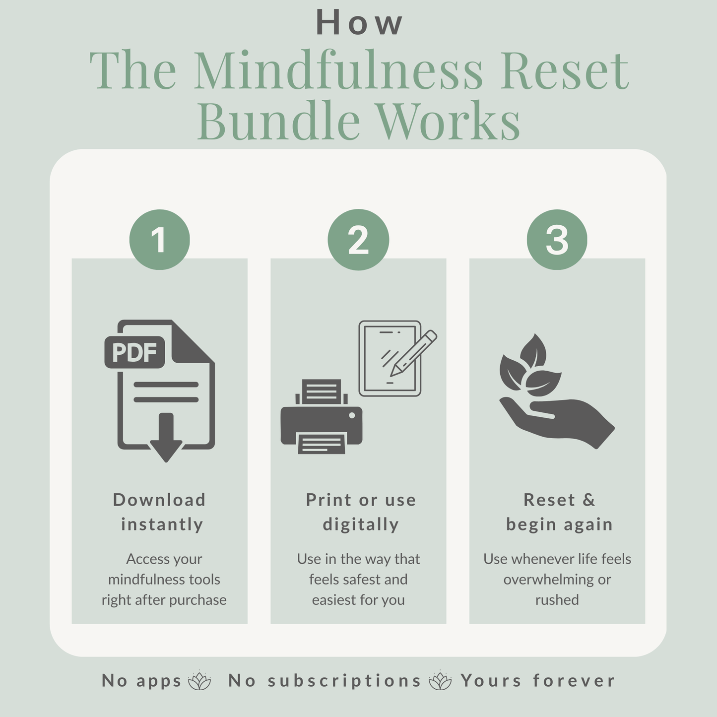 The Mindfulness Reset