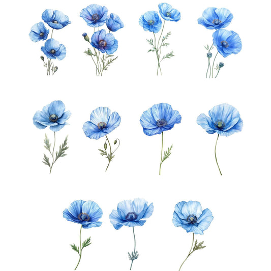 Watercolor Blue Poppy Clipart