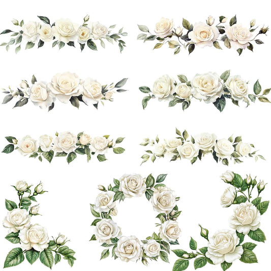 Watercolor Ivory White Roses Clipart
