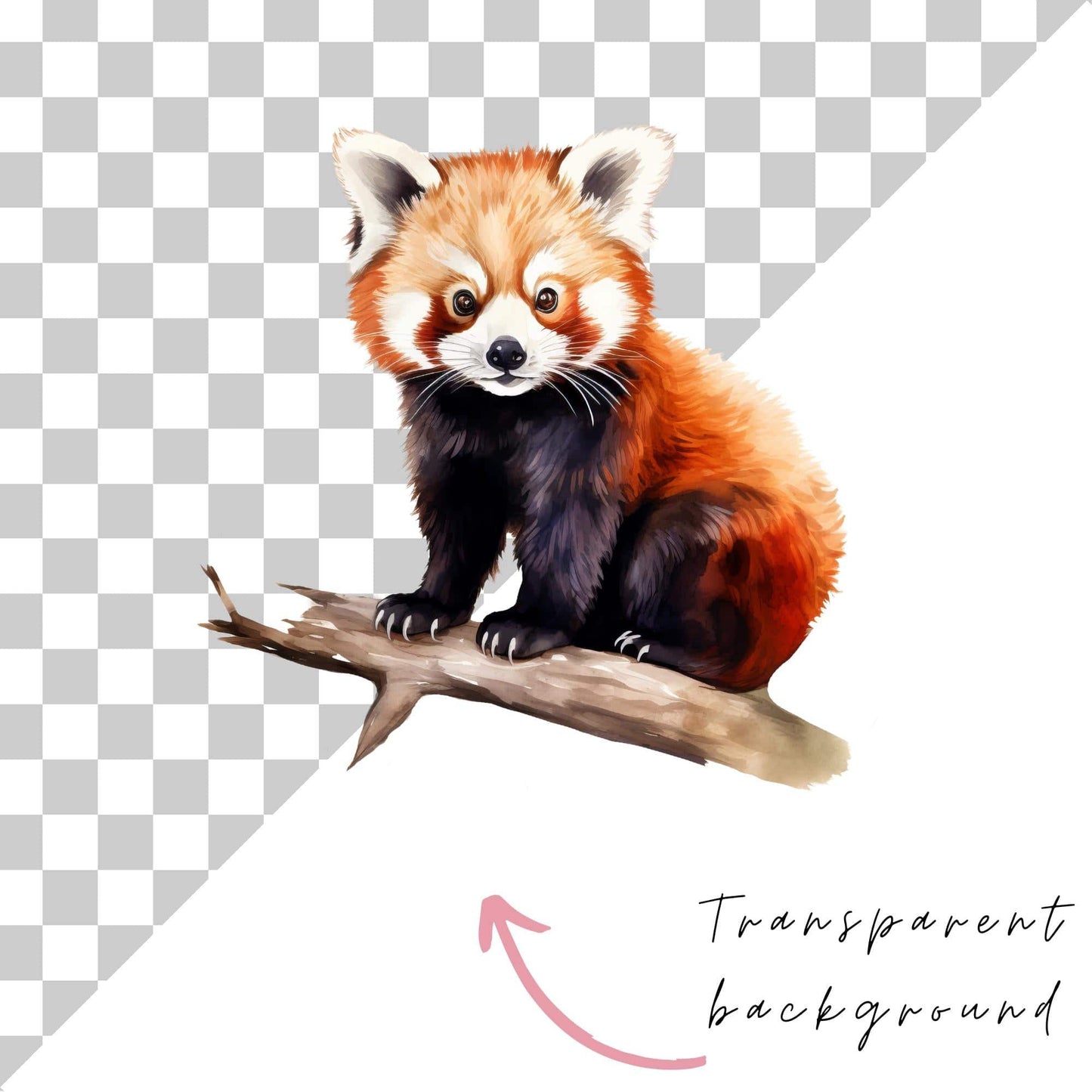 Watercolor Red Panda Clipart
