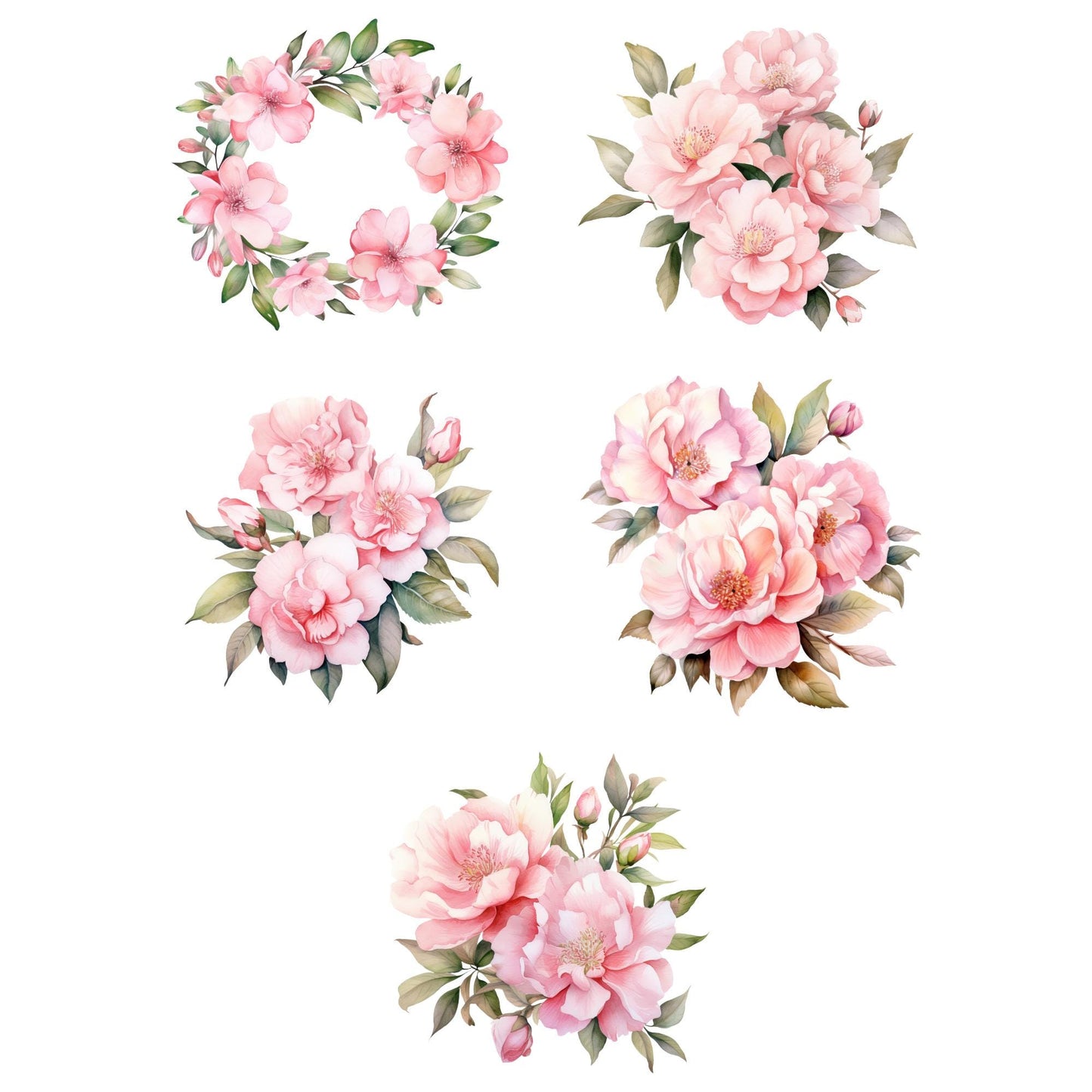 Pink Camellias Floral Clipart