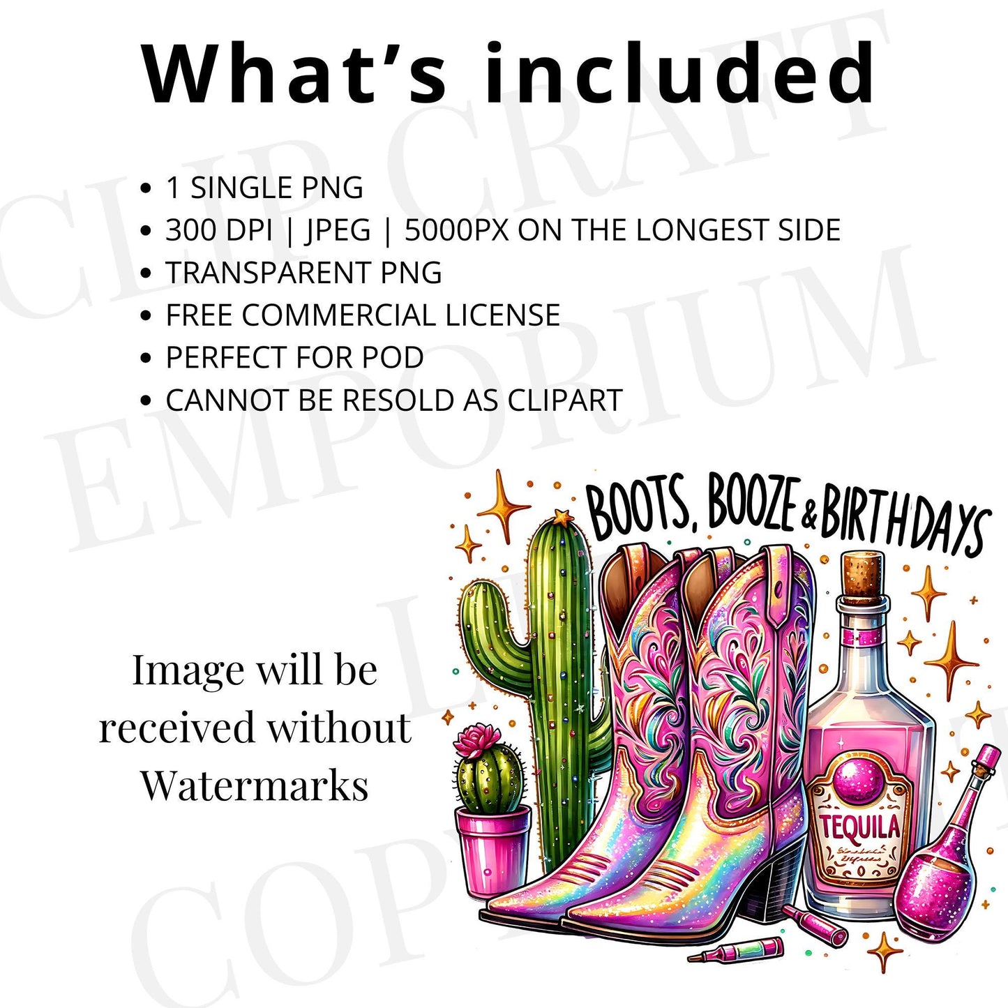 Nashville Birthday PNG