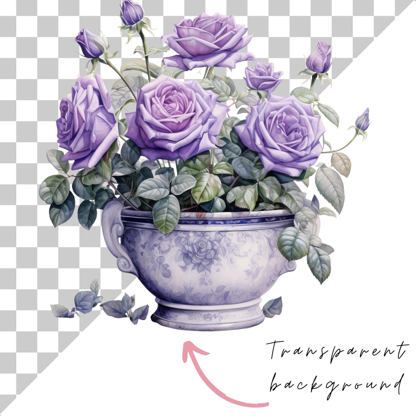 Watercolor Rose Bush Clipart