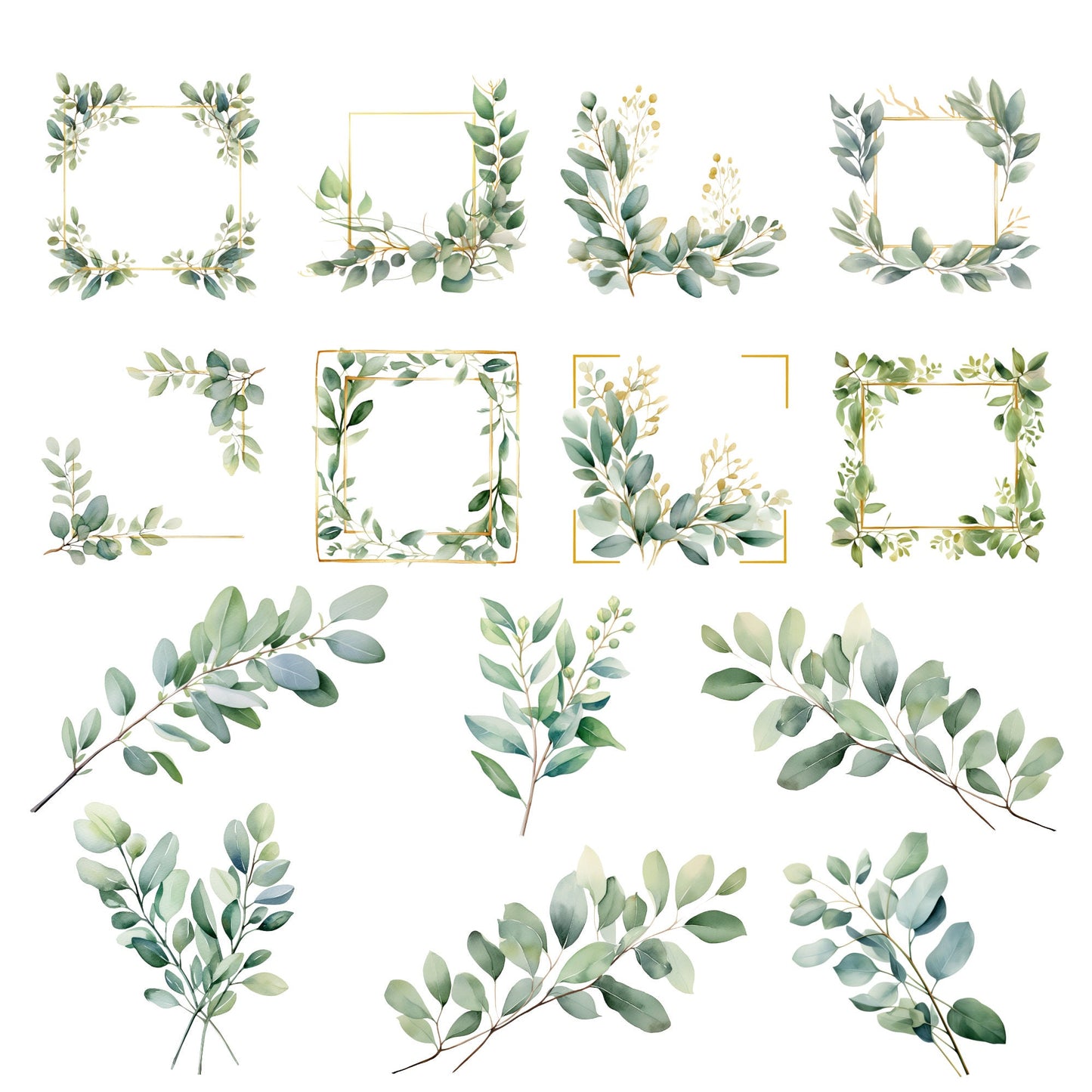 Clipart de hojas de eucalipto en acuarela